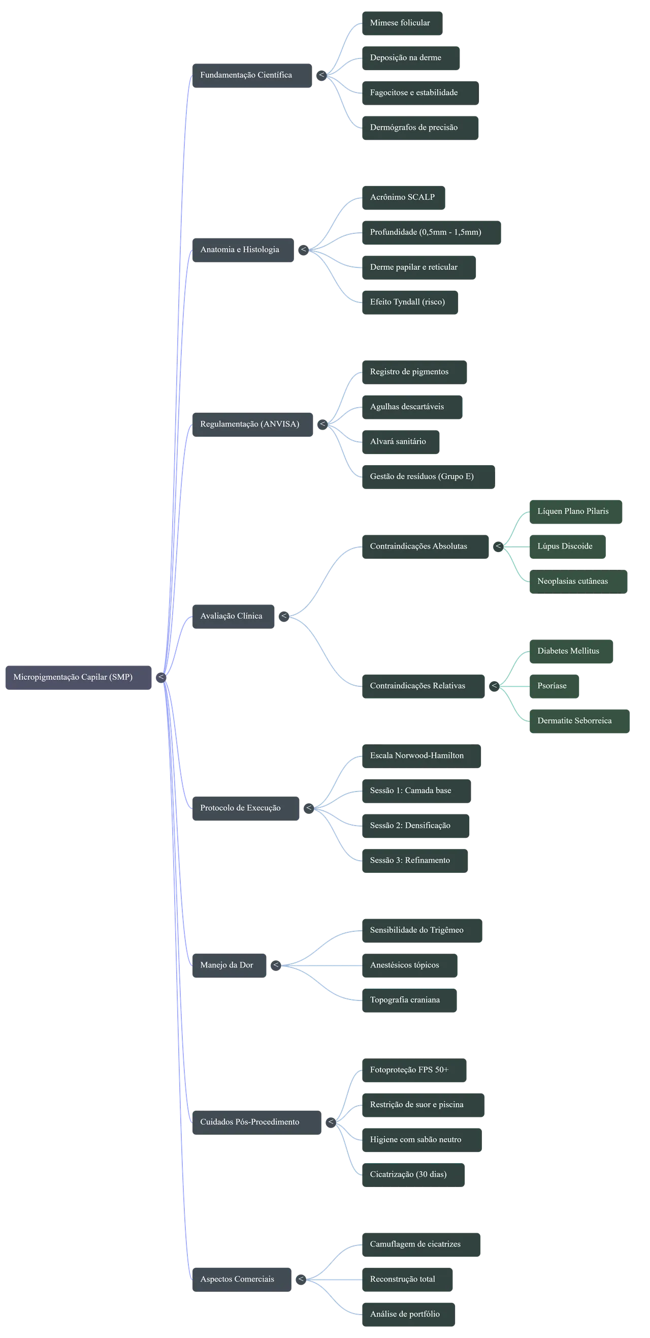 Mapa Mental científico da micropigmentação capilar antes de fazer